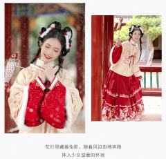 兔影花灯-资料图
