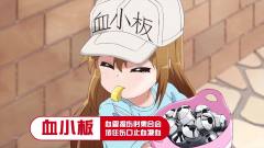 工作细胞-资料图