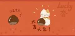 一只猫咪小吉系列-资料图