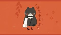 一只猫咪小吉系列-资料图