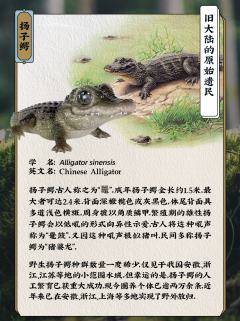 西藏温泉蛇-资料图