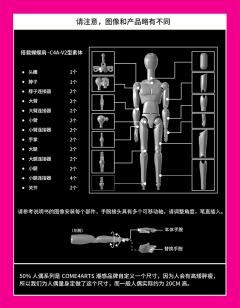 宠物医院第二季北极星动物救助会-十五款-资料图