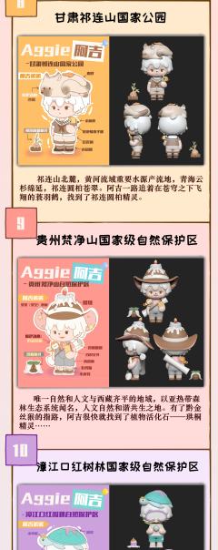 云南西双版纳-资料图