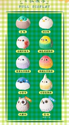 绿色虎皮鹦鹉-资料图
