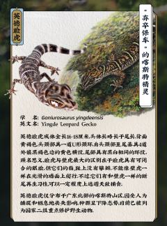 西藏温泉蛇-资料图