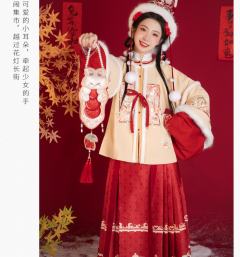 兔影花灯-资料图